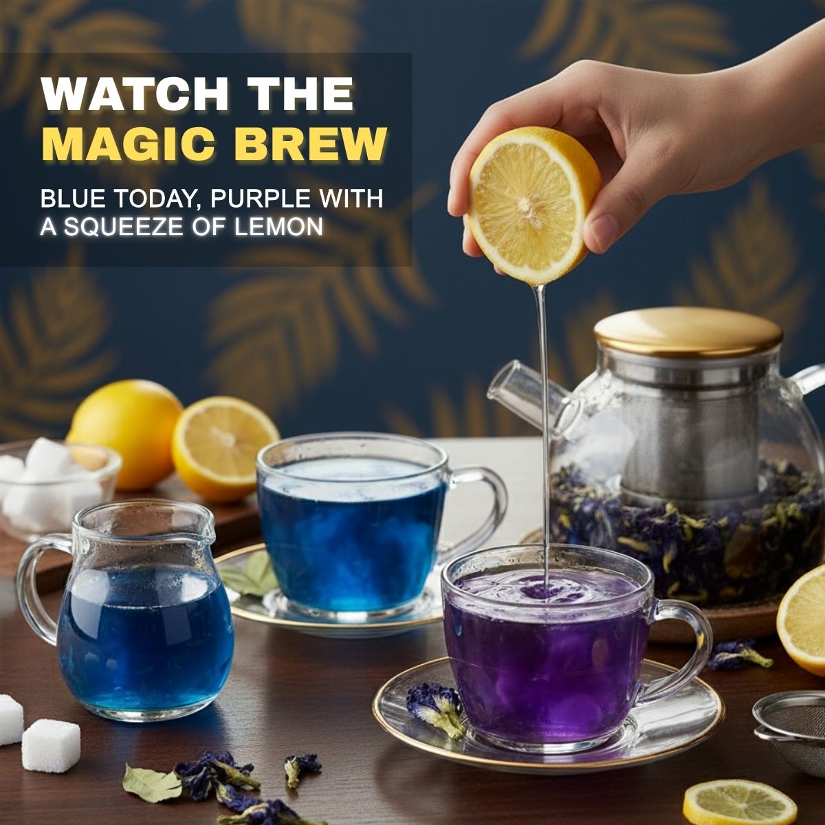TrueNirvana Butterfly Pea Tea – Relax & Refresh