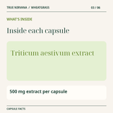TrueNirvana Wheatgrass Capsules – Detox, Energy & Immunity (60 Veg Capsules) 3