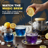 TrueNirvana Butterfly Pea Flower Herbal Tea - 100g 6