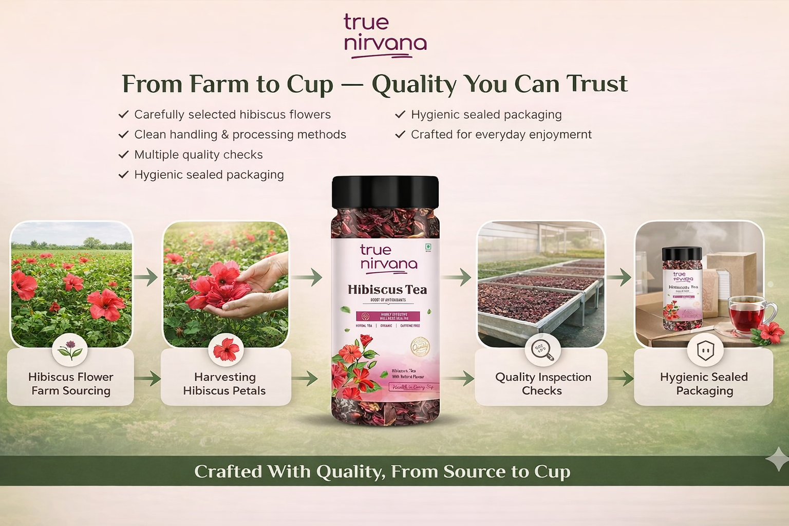 TrueNirvana Hibiscus Flower Tea – Skin Glow & Heart Health