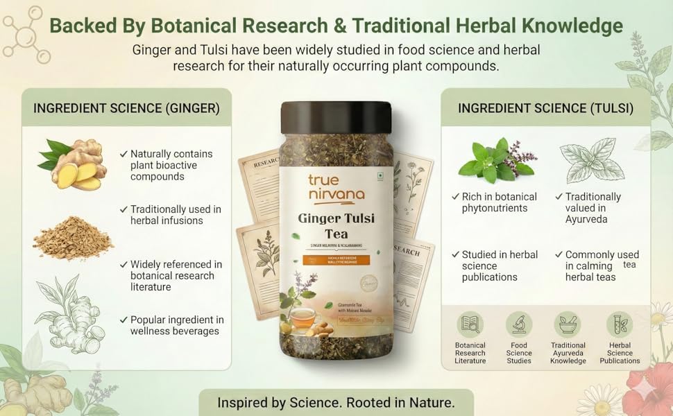 TrueNirvana Ginger Tulsi Tea – Immunity, Digestion & Stress Relief