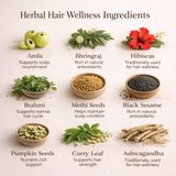 Hair Fall Control Herbal Infusion 100g Loose Leaf 2