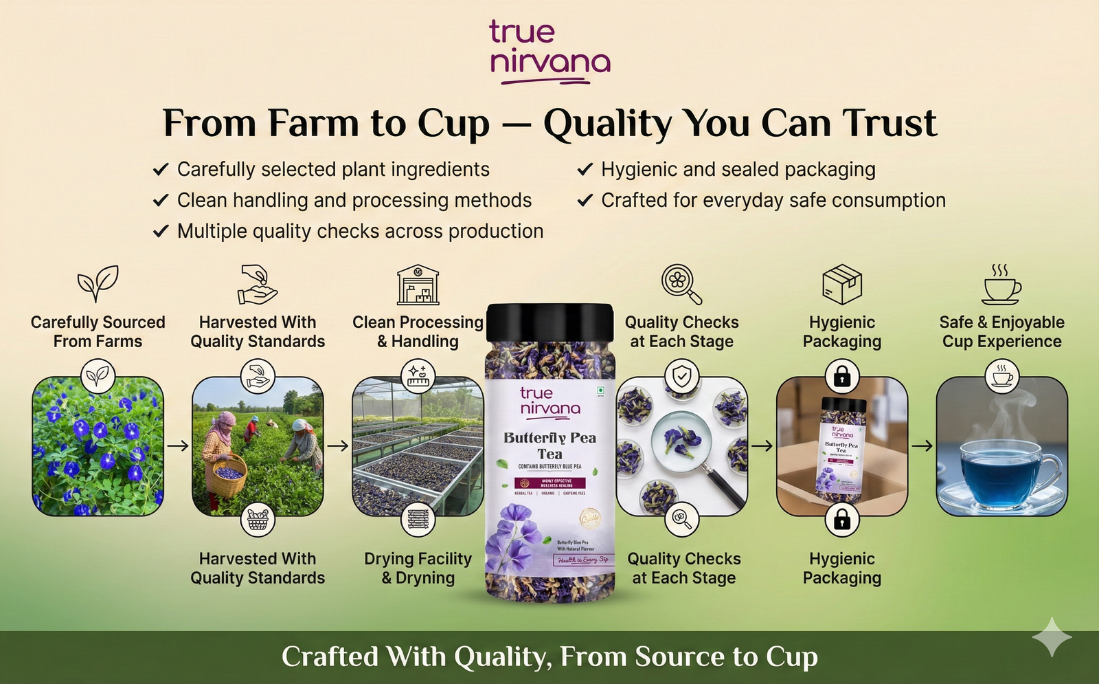 TrueNirvana Butterfly Pea Tea – Relax & Refresh
