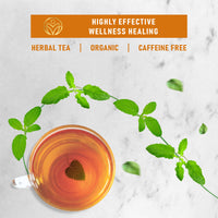 TrueNirvana Ginger Tulsi Tea – Immunity, Digestion & Stress Relief